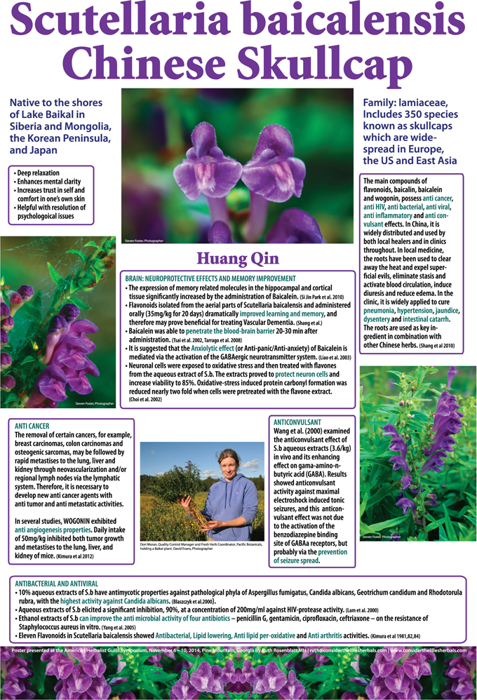 Baikal poster-panel 2