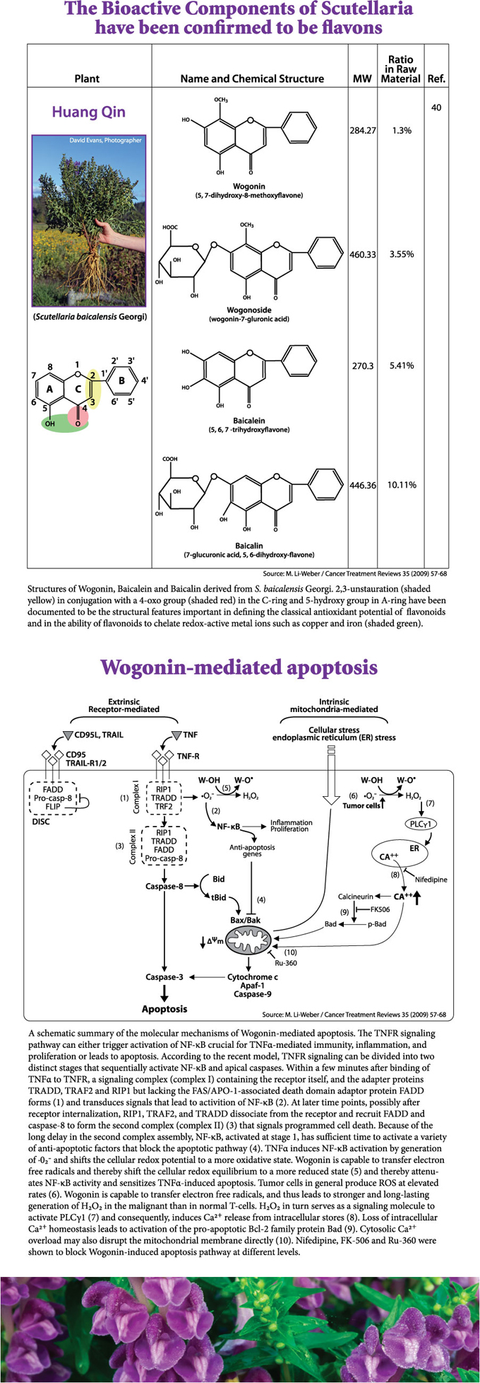 Baikal poster-panel 3