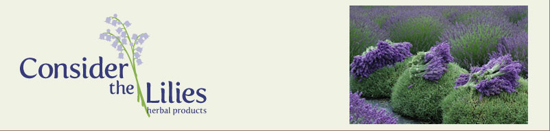 Consider the Lilies Logo and photo of lavedndar plant